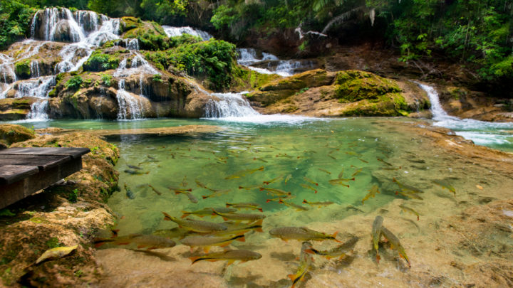 CNN Brasil mostra Bonito e Serra da Bodoquena como destino para todas as idades