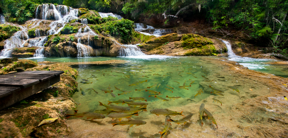 CNN Brasil mostra Bonito e Serra da Bodoquena como destino para todas as idades