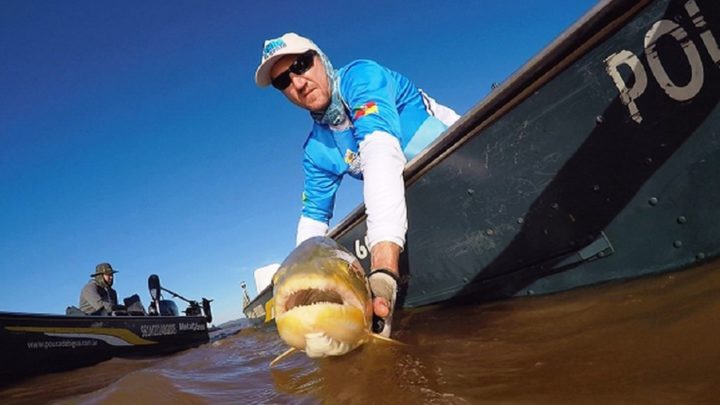 Até o dia 29, apenas o pesque e solte está permitido em alguns rios de MS