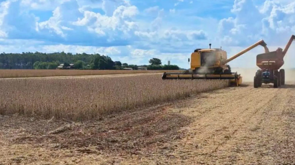 Na esperança de ver preço subir, produtores de MS estocam soja e ‘torcem contra’ safra dos EUA