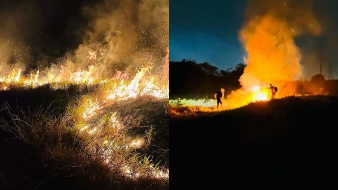 Incêndio criminoso em reserva ambiental destrói 20 hectares e ameaça animais em Três Lagoas