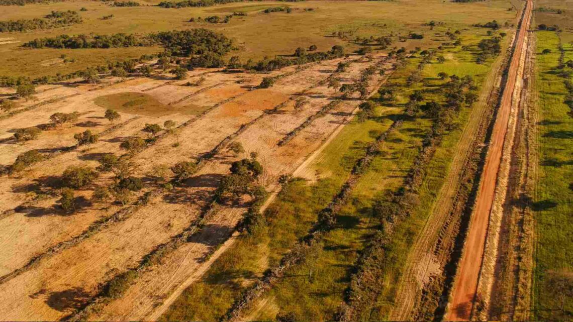 Após escândalos, Governo de MS aguarda 18 processos de licenciamento ambiental em obras no Pantanal