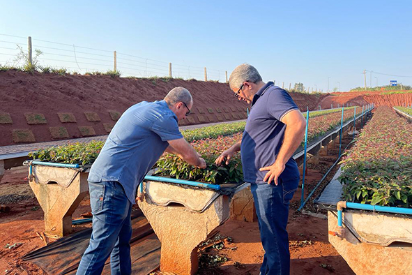 PREFEITO VISITA A EMPRESA ANGONESE EMPREENDIMENTOS FLORESTAIS- FLORESTAL OURO VERDE E GARANTE EMPREGOS PARA JAPORÃ