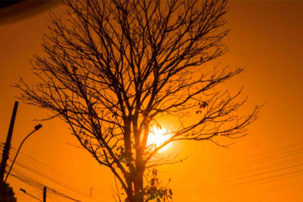 Quatro cidades de MS ultrapassam 40°C e estão entre as mais quentes do Brasil