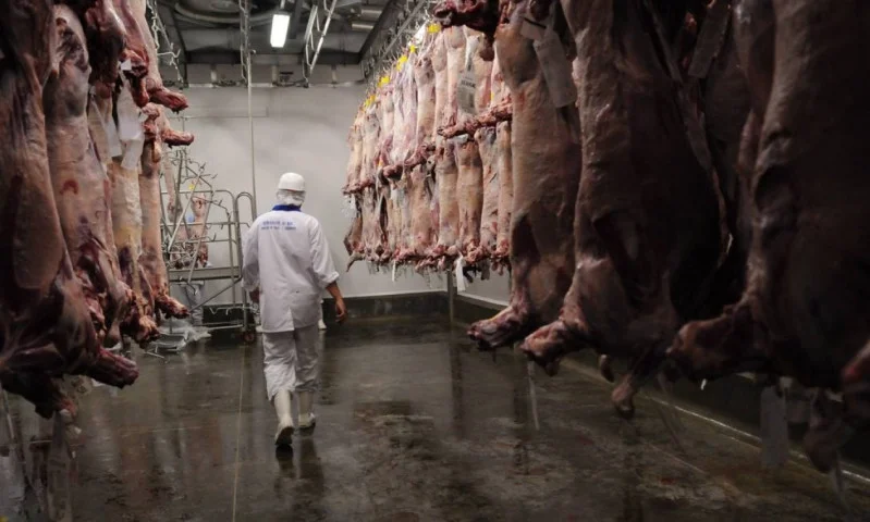 Brasil e Egito assinam acordo para facilitar exportação de carnes