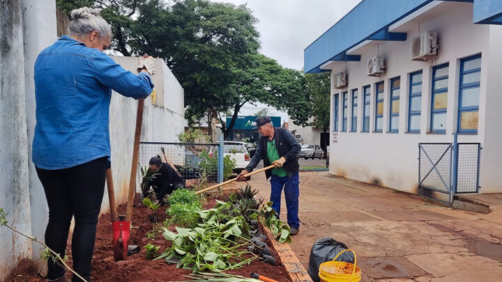 Secretaria de Meio Ambiente de Mundo Novo realiza trabalho de jardinagem no Posto Central com mudas produzidas no Horto Florestal