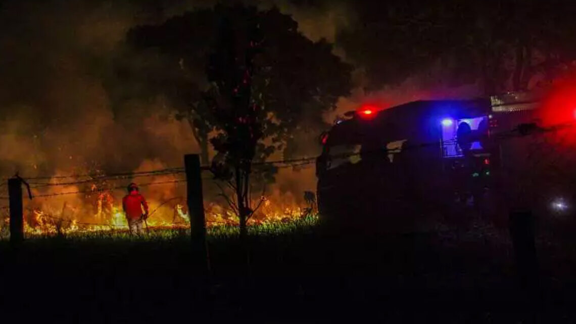 Incêndio na saída para Três Lagoas consome 5 hectares de área verde