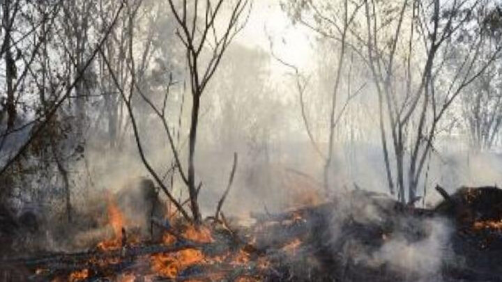 Eldorado – Indígena é acusado de incêndio que queimou 180 alqueires de fazenda