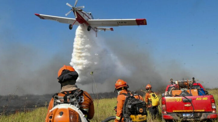 Governo de MS declara situação de emergência em cidades afetadas por incêndios florestais