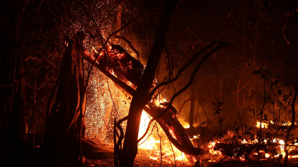 Pantanal entra em alerta de risco alto e extremo de incêndios