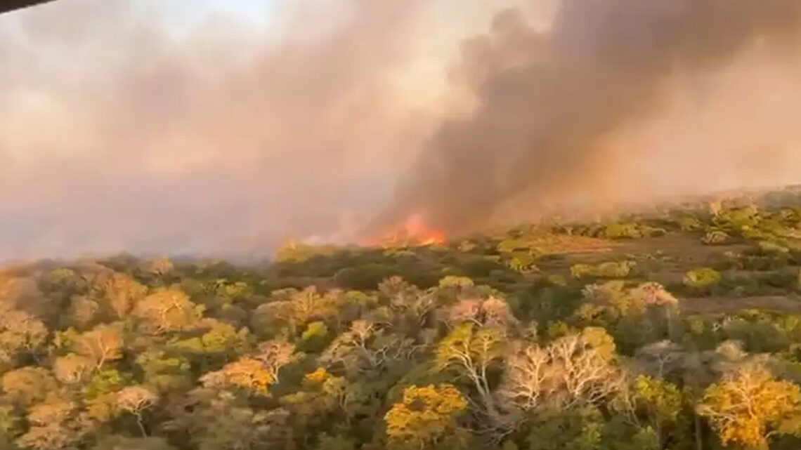 Fogo provocado por caminhão é novo desafio no Pantanal