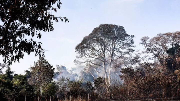 Incêndio na Aldeia Água Bonita: Sesau faz triagem e 5 famílias vão para abrigo temporário