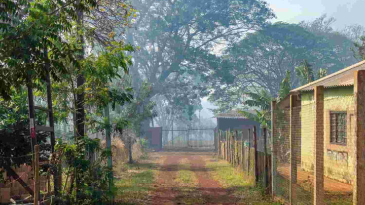 Família passa mal com fumaça de incêndio que cobre Núcleo Industrial de Campo Grande