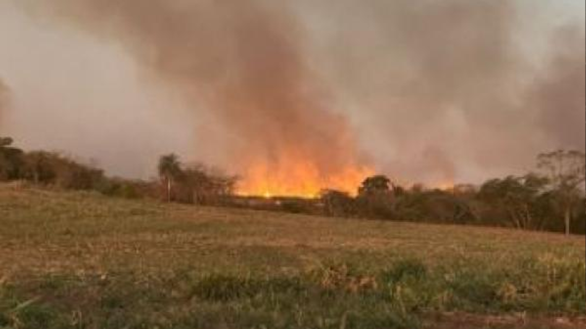 Defesa Civil detecta quatro focos de incêndio no Parque Natural Municipal de Naviraí