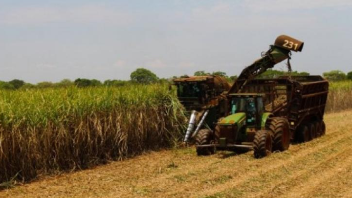 Etanol: Mato Grosso do Sul já se destaca em nível nacional