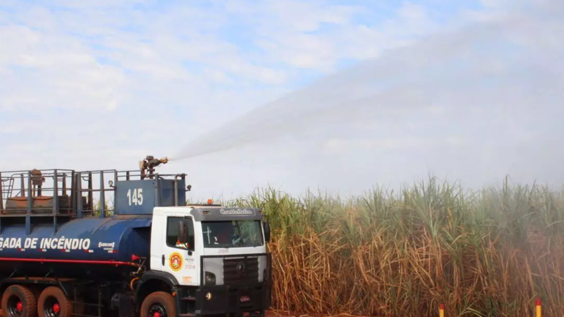 Com alerta máximo para fogo em canaviais, setor em MS adota estratégias de prevenção