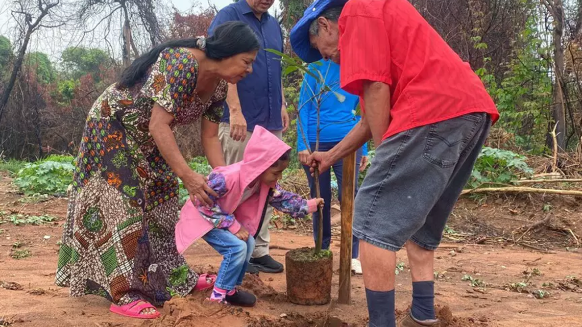 Após incêndio, aldeia recebe plantio de árvores para renovar esperança