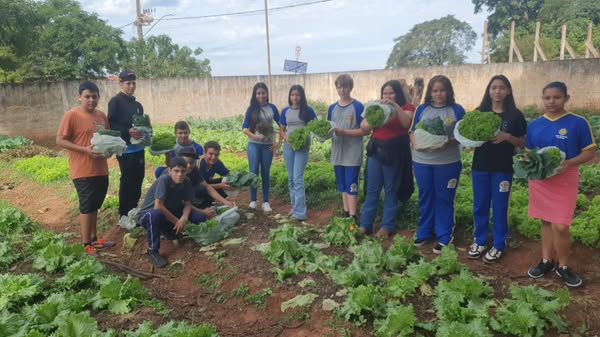 ESCOLA CEMUR NO ASSENTAMENTO AUXILIADORA DESENVOLVE PROJETO HORTA ESCOLAR COM TODOS OS ALUNOS.