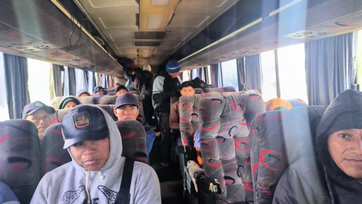 CASA DO TRABALHADOR DE IGUATEMI INTERMEDIOU A IDA DE 42 INDÍGENAS PARA TRABALHAR NA COLHEITA E PODA DA MAÇÃ, NO RIO GRANDE DO SUL.