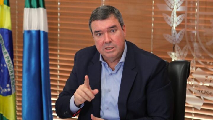 Riedel vai à Ásia buscar montadora e novos investimentos para MS