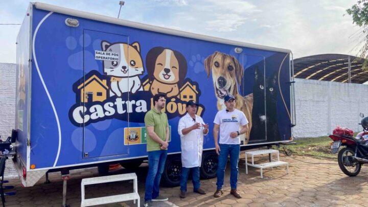 Prefeitura de Naviraí amplia em 500% o número de castrações de animais