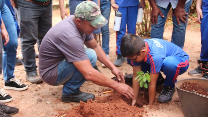 Alunos da Escola Terezinha participaram da palestra sobre o Dia da Árvore nesta sexta-feira (19)