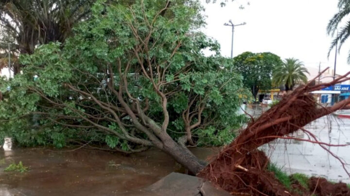 Chuva e ventos de mais de 100 km/h causam estragos em Caarapó e Maracaju