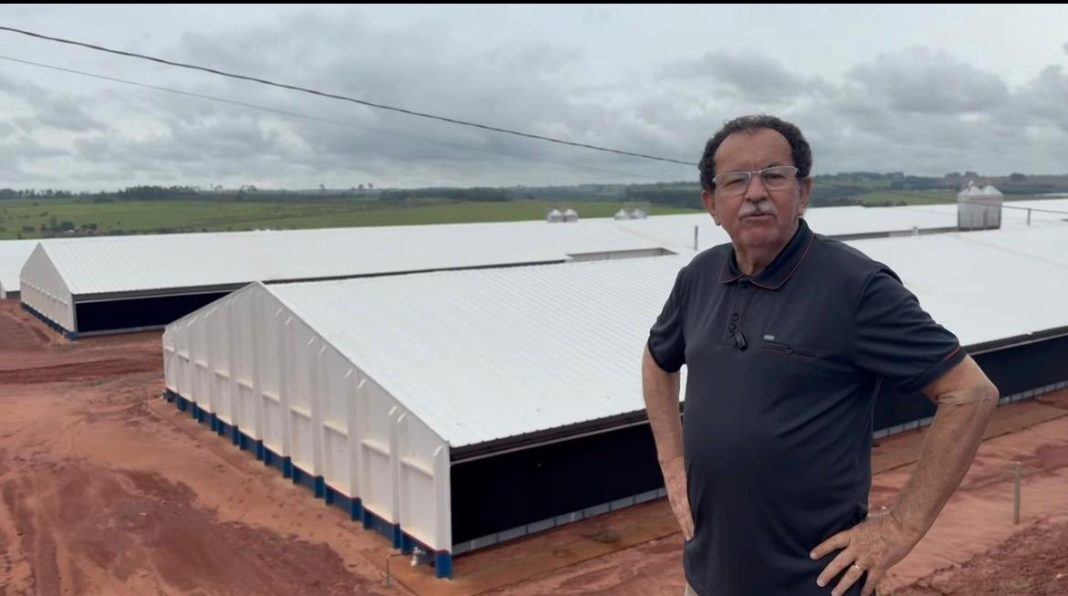 Japorã ganha núcleo de aviarios para 850 mil aves