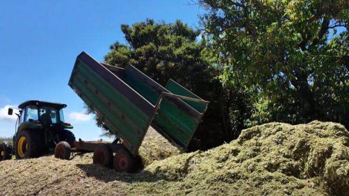Governo de Mundo Novo beneficia produtor rural com o Programa Mais Leite