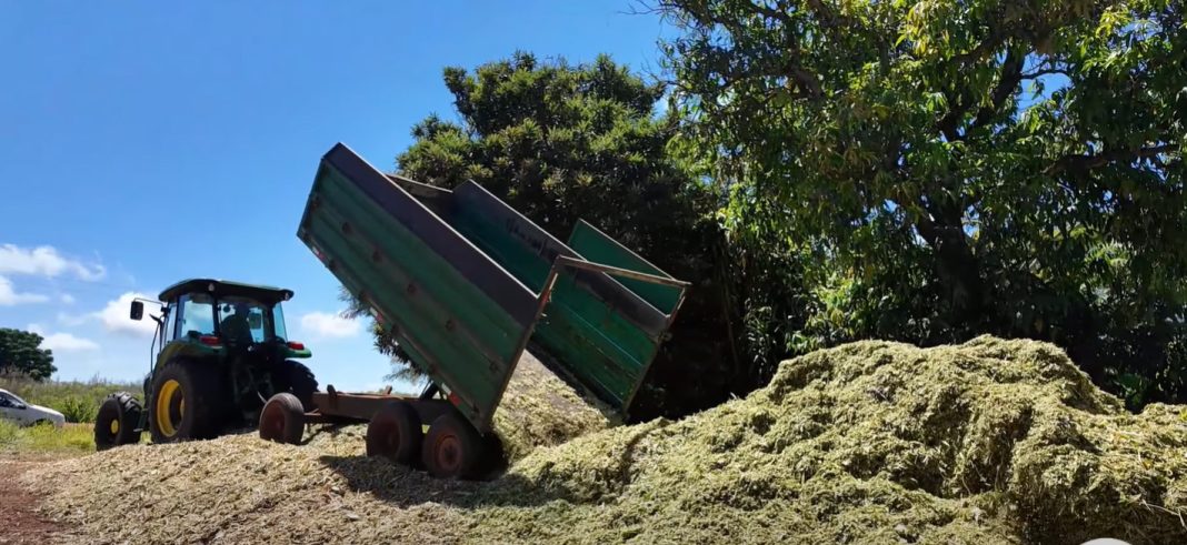 Governo de Mundo Novo beneficia produtor rural com o Programa Mais Leite