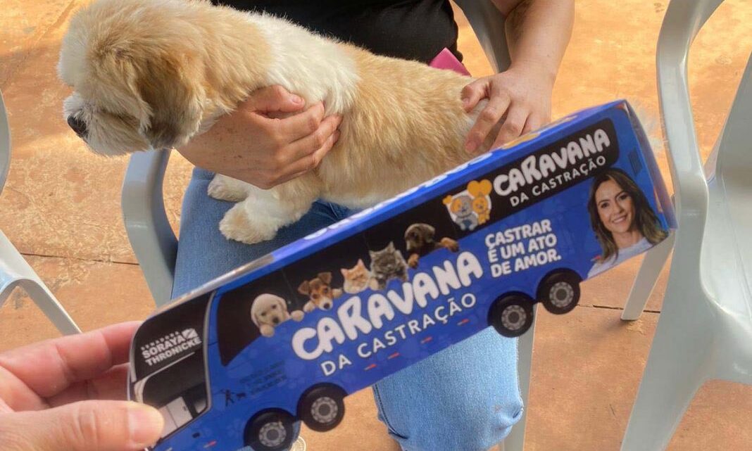 Caravana da Castração atendeu em Tacuru