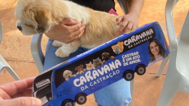 Caravana da Castração atendeu em Tacuru