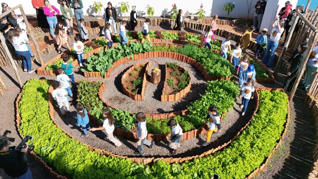 ITAQUIRAÍ:  Projeto “Sabores que Educam” recebe reconhecimento nacional