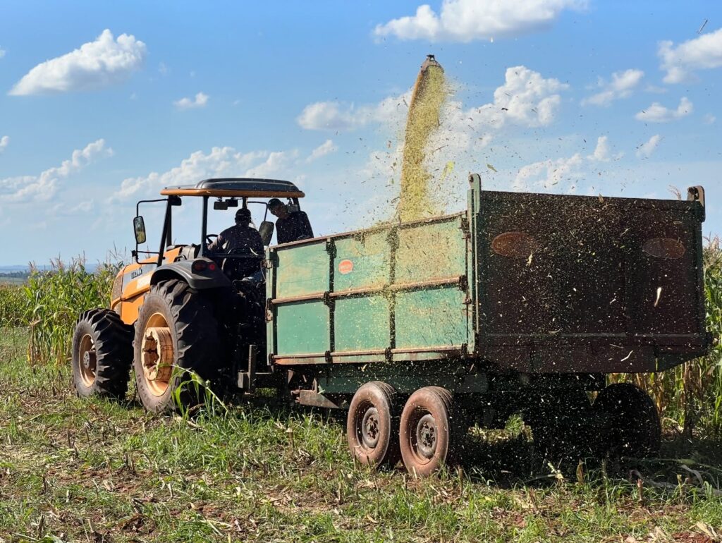 GESTÃO DE JAPORÃ GARANTE APOIO ÀS ATIVIDADES AGROPECUÁRIAS DOS PRODUTORES TRADICIONAIS