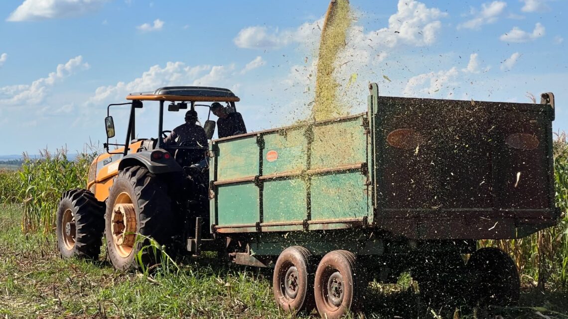 GESTÃO DE JAPORÃ GARANTE APOIO ÀS ATIVIDADES AGROPECUÁRIAS DOS PRODUTORES TRADICIONAIS